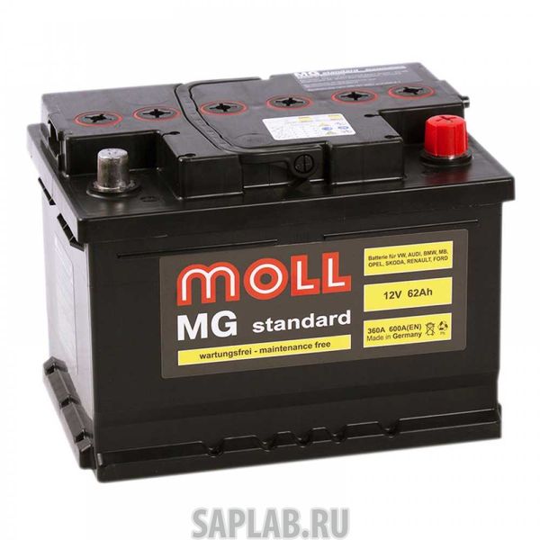 Купить запчасть MOLL - MGSTANDARD62L 